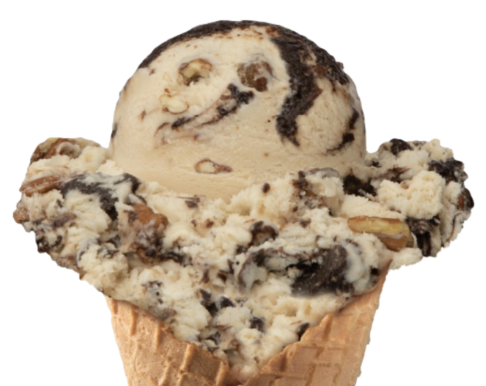 No Sugar Added Turtle Sundae